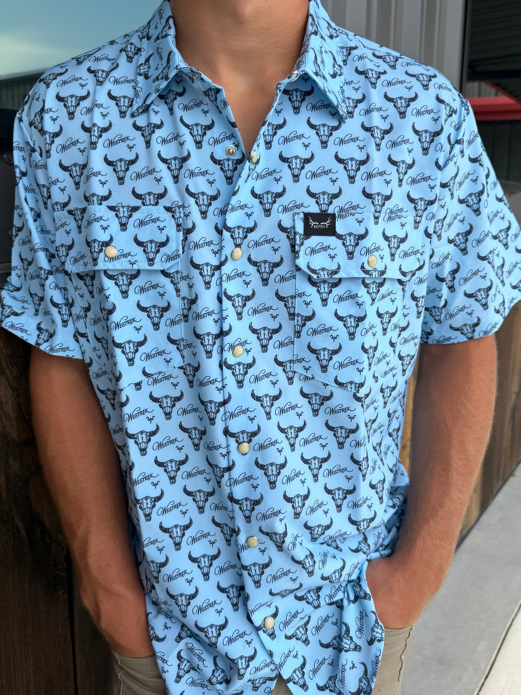 Light Blue Buffalo Pearl Snap